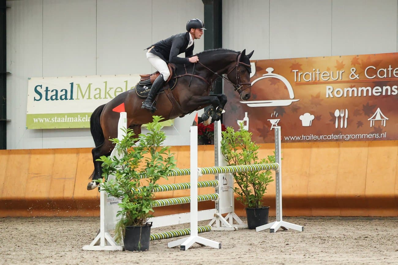 Patapsco – A Stallion of Excellence